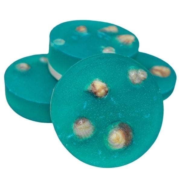 Ocean-Seashells-soap-1