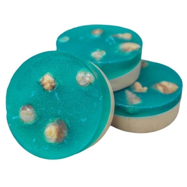 Ocean-Seashells-soap-2