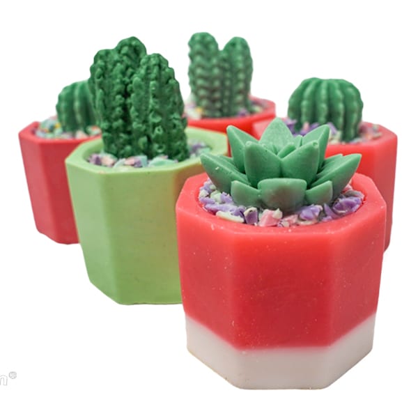 mini_cactus_pot_set_1