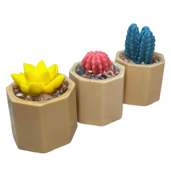 exotic_cactus