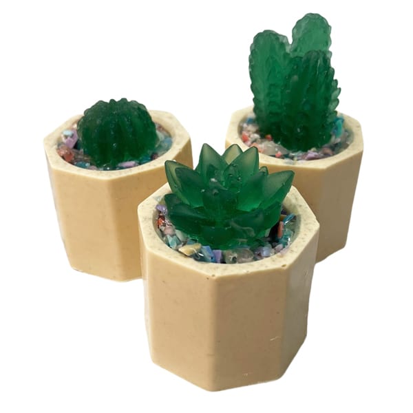 green_apple_jade_cactus