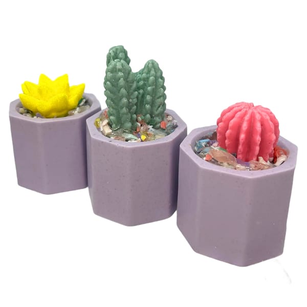relaxation_cactus